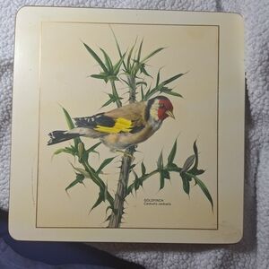 Goldfinch Bird Illustration Coaster